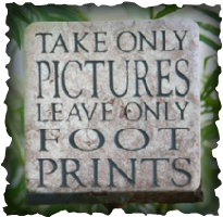 Take only pictures,